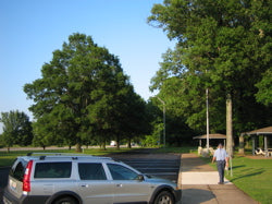 IMG_1181.jpg